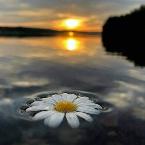 Meet your Posher, Jenifer